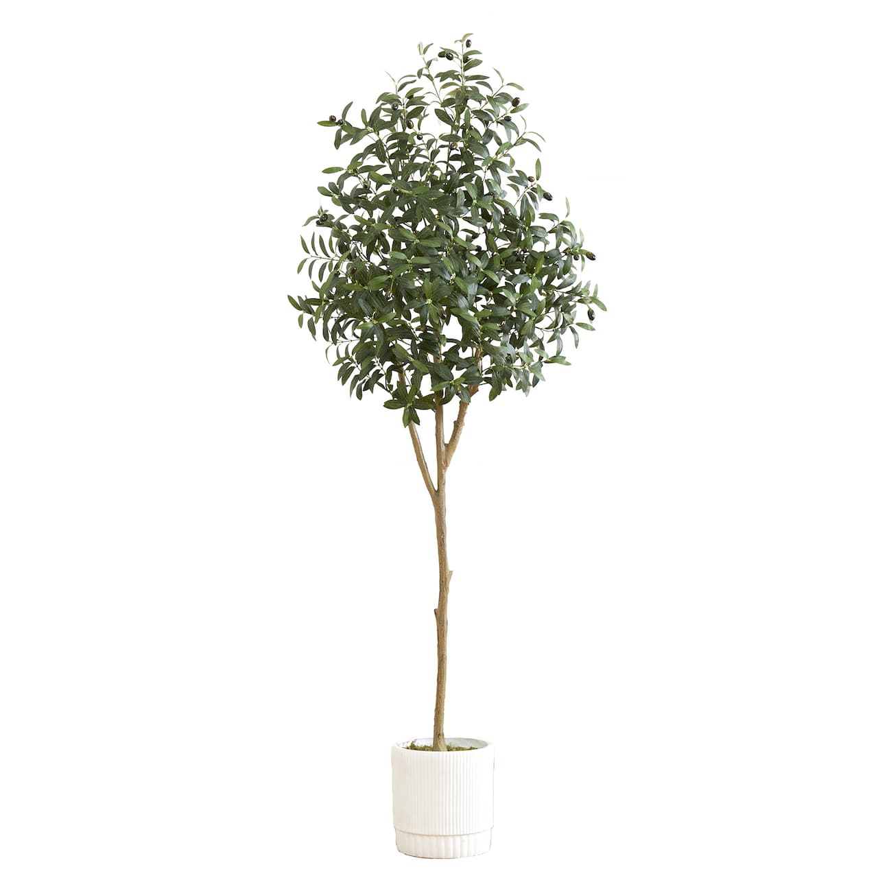 6ft. Artificial Olive Tree with White Decorative Planter